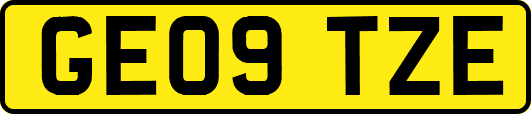 GE09TZE