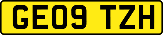 GE09TZH