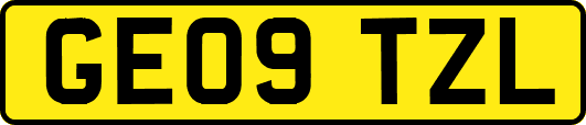 GE09TZL