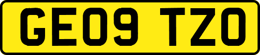 GE09TZO