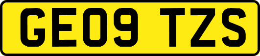 GE09TZS