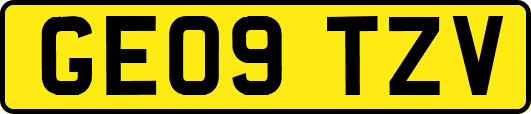 GE09TZV