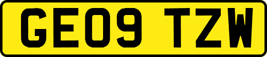 GE09TZW