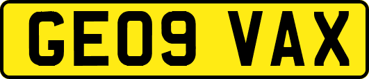 GE09VAX