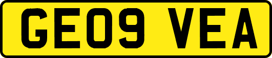 GE09VEA