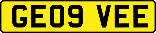 GE09VEE