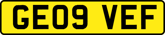 GE09VEF