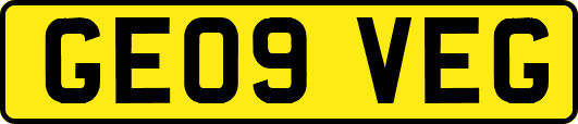 GE09VEG