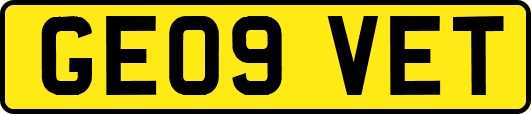 GE09VET
