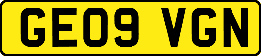 GE09VGN
