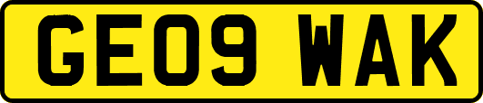 GE09WAK