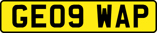 GE09WAP