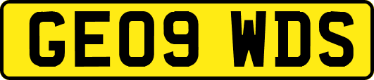 GE09WDS