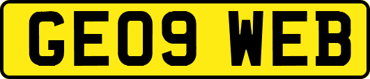 GE09WEB