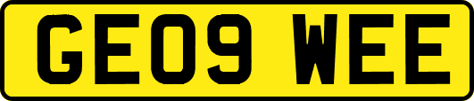 GE09WEE