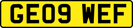 GE09WEF