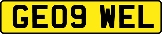 GE09WEL