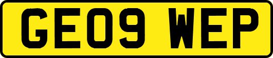 GE09WEP
