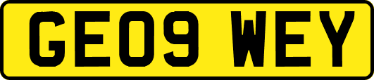 GE09WEY