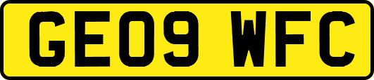 GE09WFC