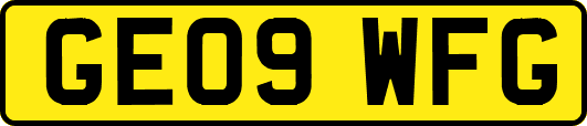 GE09WFG