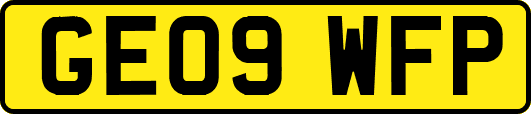 GE09WFP