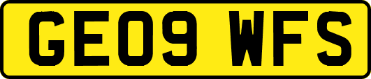GE09WFS