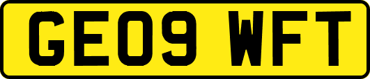GE09WFT