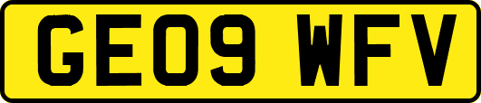 GE09WFV