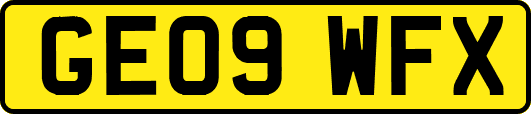 GE09WFX