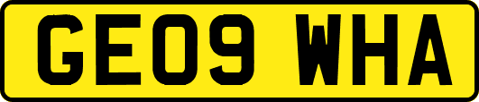 GE09WHA