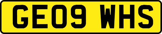 GE09WHS
