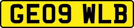 GE09WLB