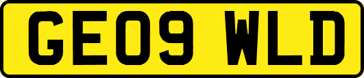 GE09WLD