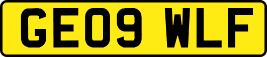 GE09WLF