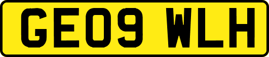 GE09WLH