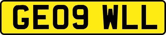 GE09WLL