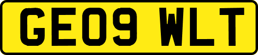 GE09WLT