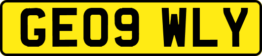 GE09WLY