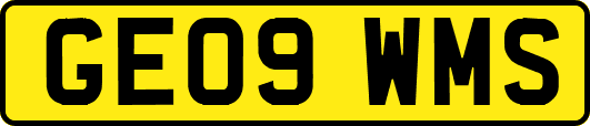 GE09WMS