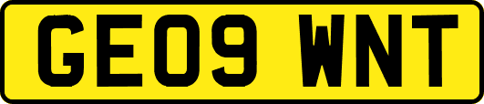 GE09WNT