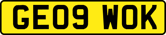 GE09WOK