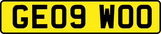 GE09WOO