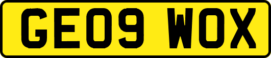 GE09WOX
