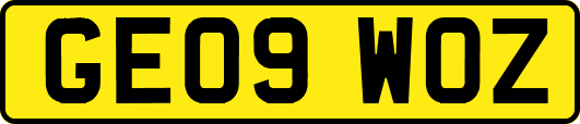 GE09WOZ