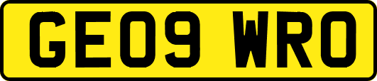 GE09WRO