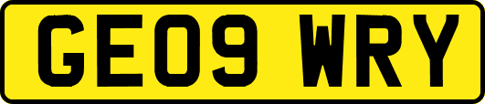 GE09WRY