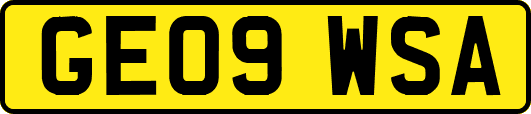 GE09WSA