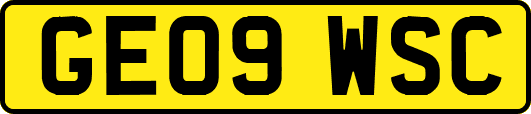 GE09WSC