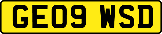 GE09WSD